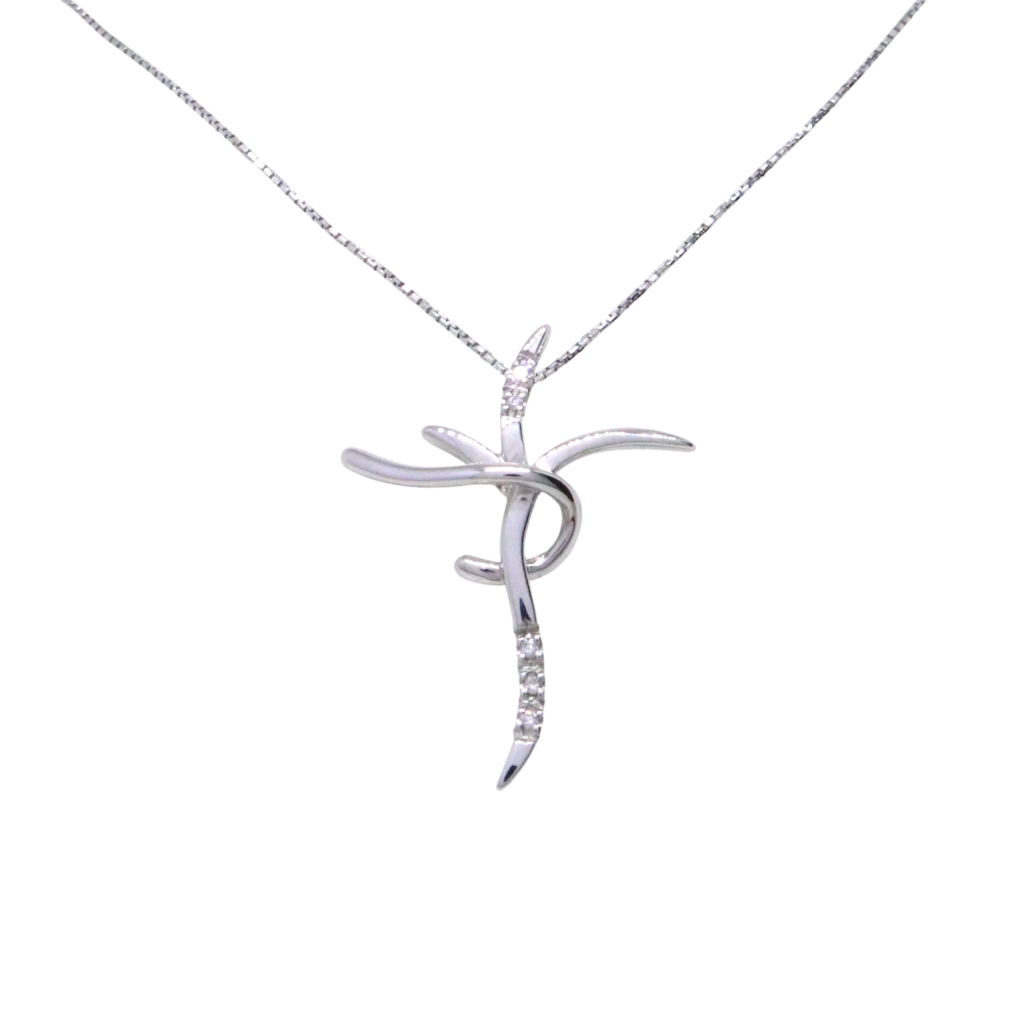 Photoroom_20260220_164015