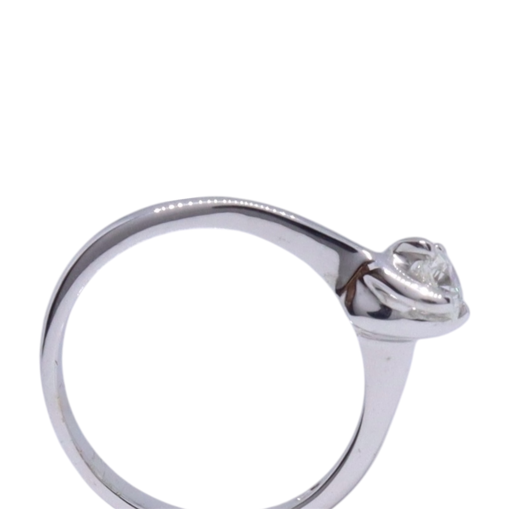 Photoroom_20260223_182018