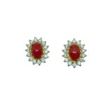 Orecchini  ovali con corallo