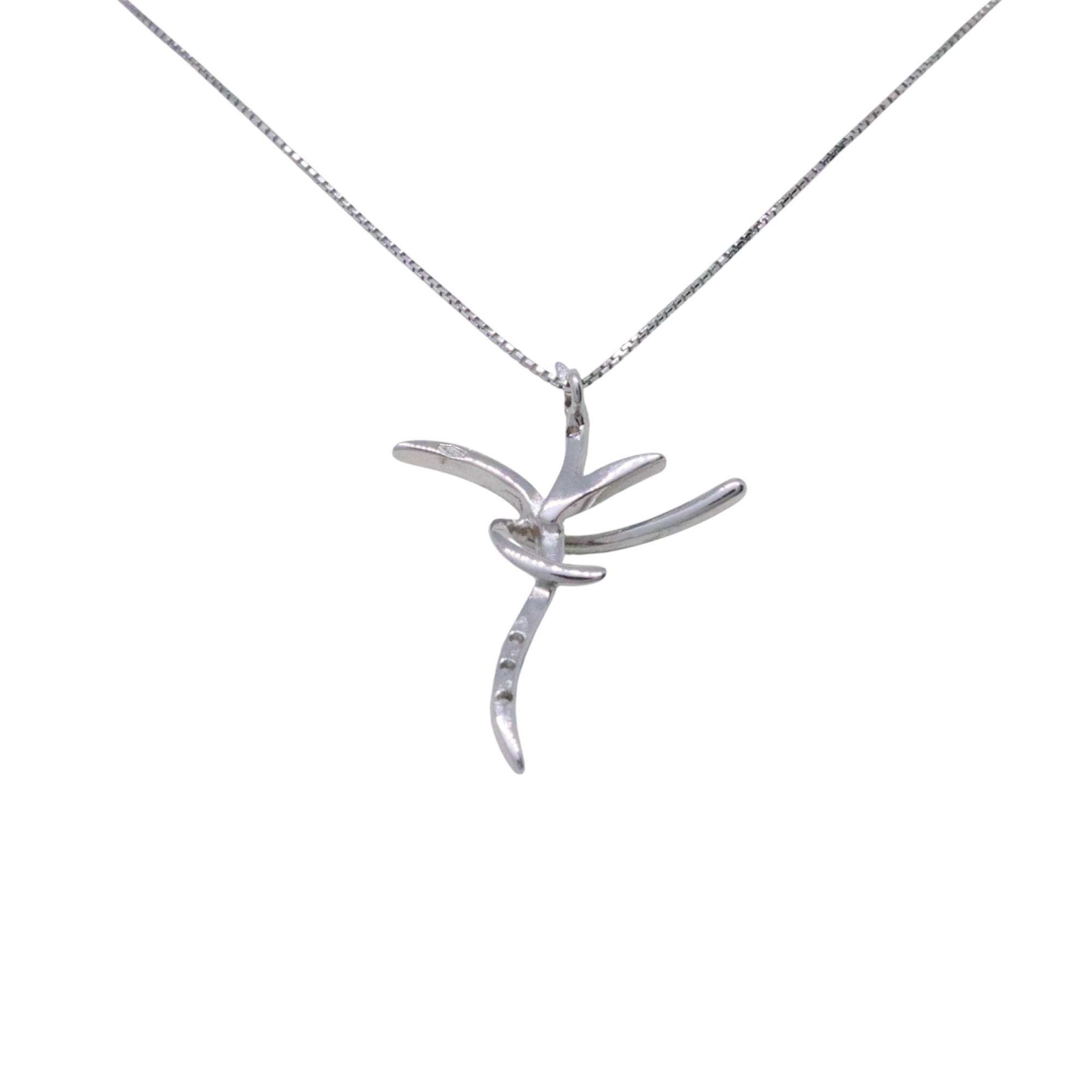 Photoroom_20260220_095051