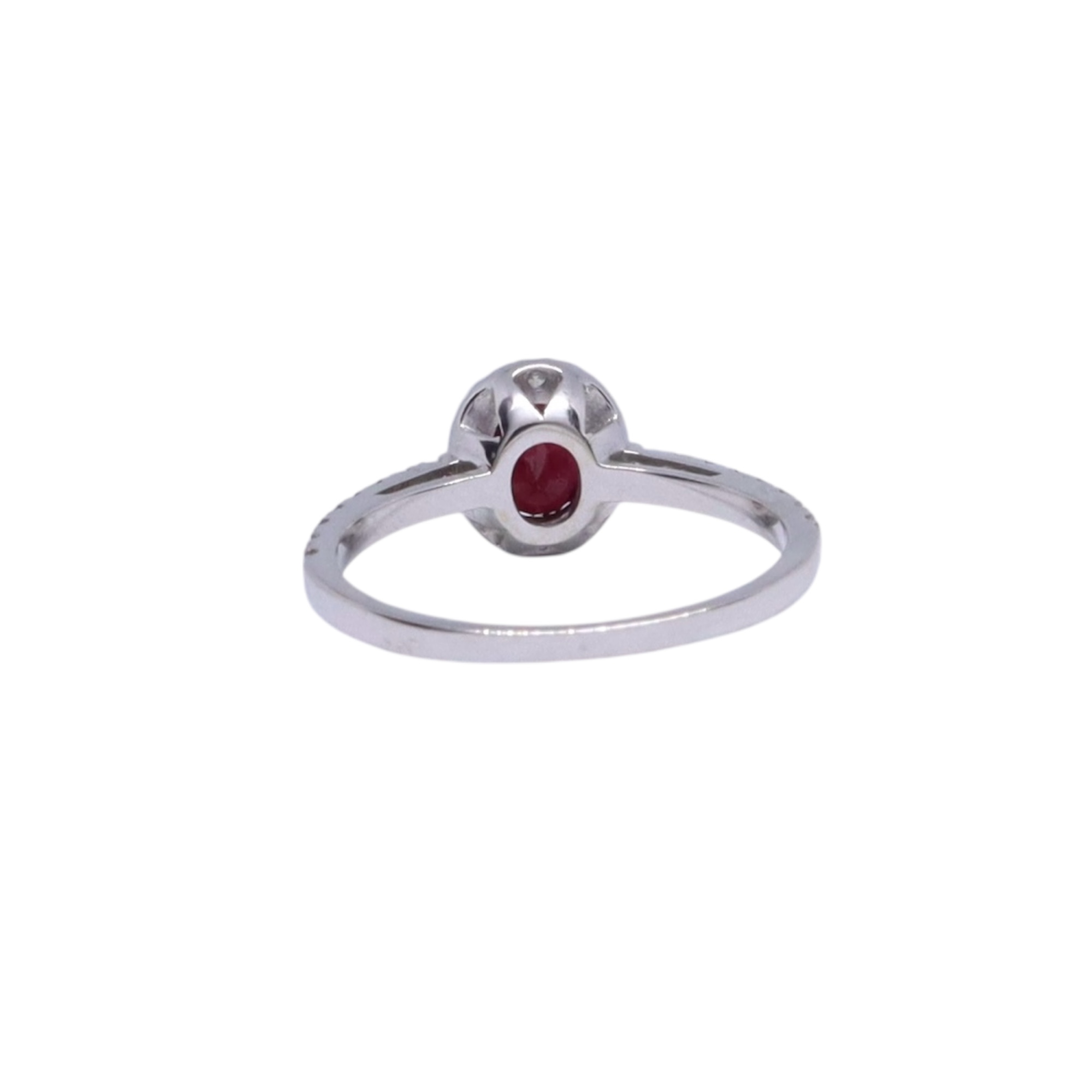 Photoroom_20260223_182638